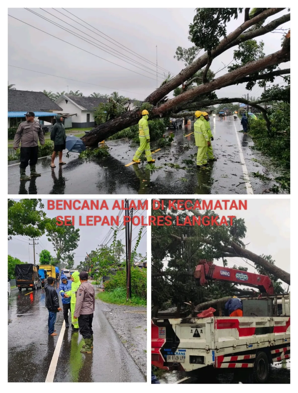 Bencana Alam Melanda Langkat: Evakuasi dan Koordinasi Intensif Dilakukan