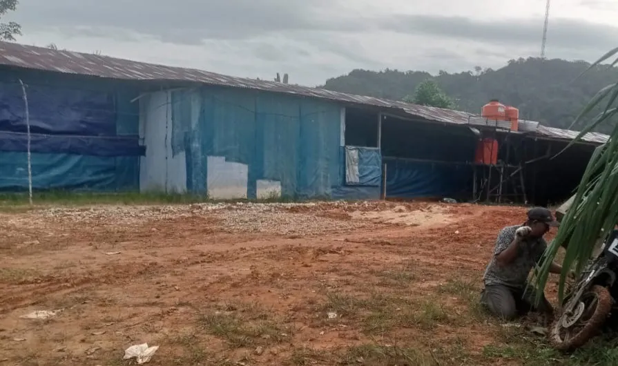 Warga Desa Telun Keluhkan Bau Bangkai Ayam, DLH Diminta Tindaklanjuti