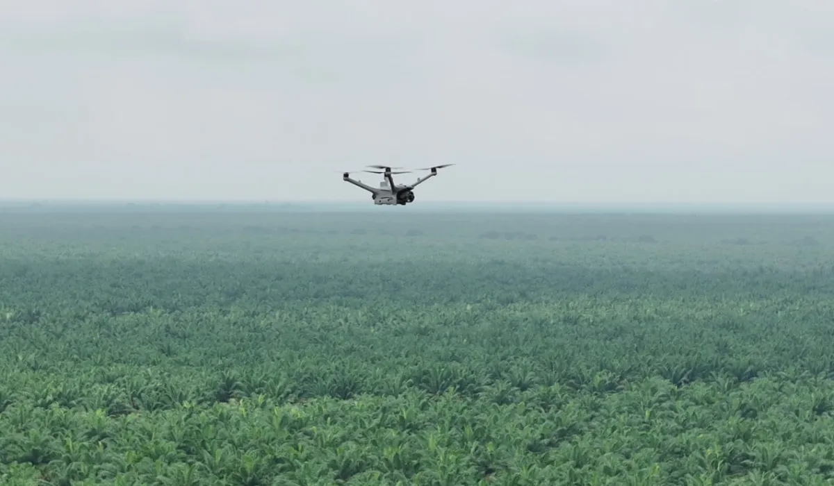 Drone Thermal: Solusi Canggih Cegah Kebakaran Perkebunan di Indonesia
