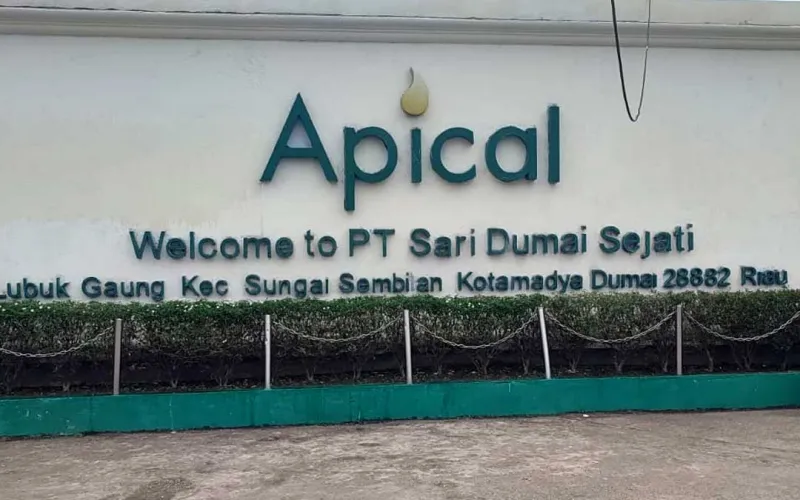 Media Dumai Siap Gugat APICAL Group Terkait Tunggakan Pembayaran