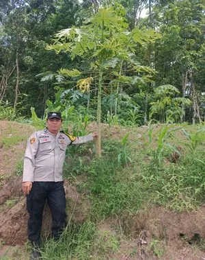 Polsek Kota Lahat Dukung Ketahanan Pangan Lewat Program Perkarangan Bergizi