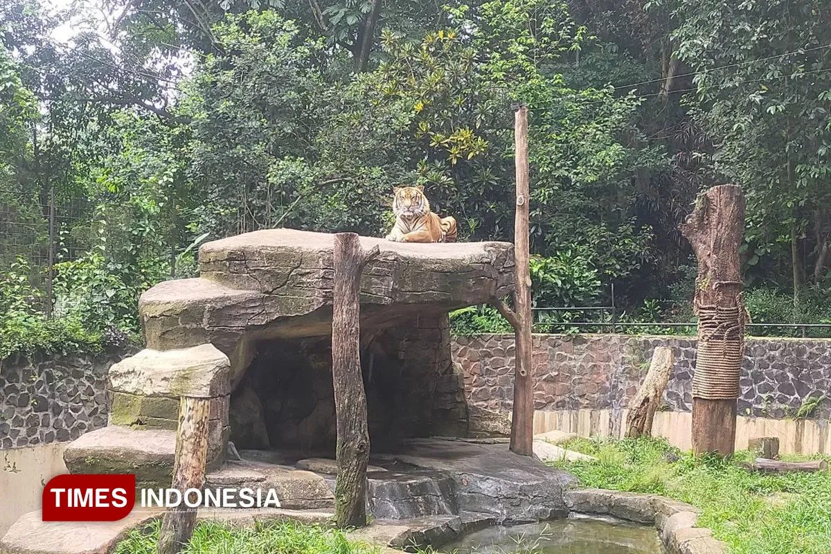 Pemerintah Bersinergi Selamatkan Bandung Zoo