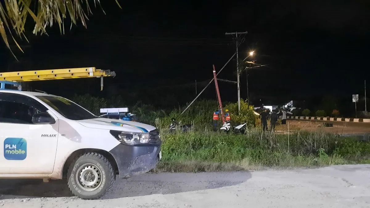 Pemadaman Listrik Dua Kali di Sukadana Akibat Gangguan Kabel oleh Burung