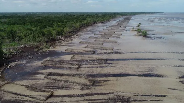 Kunjungan ASEAN-UK GTF: Konservasi Mangrove Pulau Bengkalis Jadi Contoh Solusi Berbasis Alam