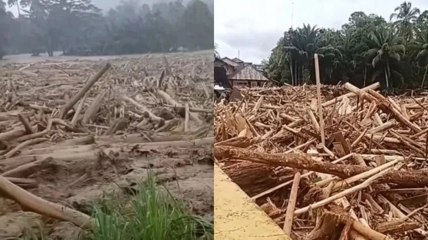 Kemenhut Berupaya Atasi Banjir di Sumatra Melalui Pengelolaan DAS