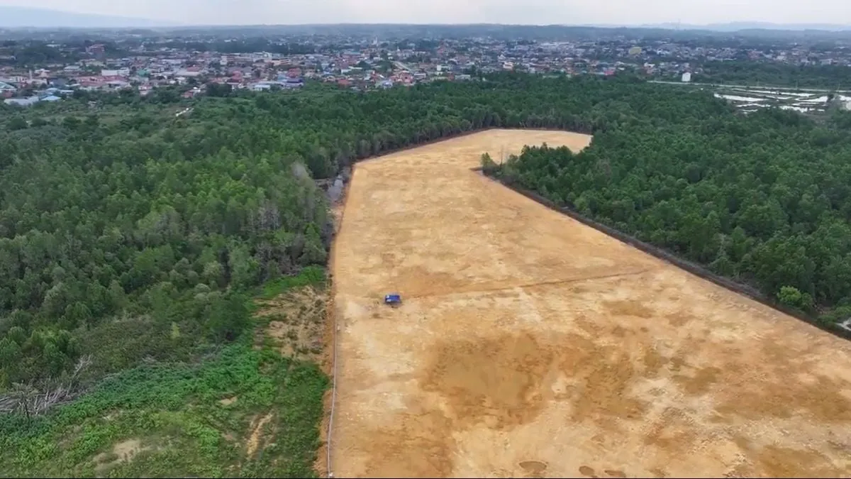 WALHI Kritik Gubernur Sultra atas Perusakan Hutan Mangrove untuk Pembangunan Pribadi