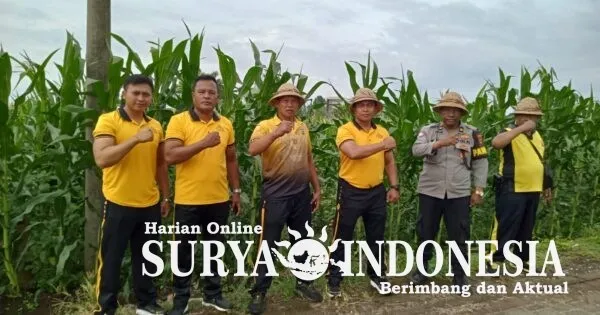 Kapolsek Kediri Laksanakan Perawatan Tanaman Jagung untuk Ketahanan Pangan