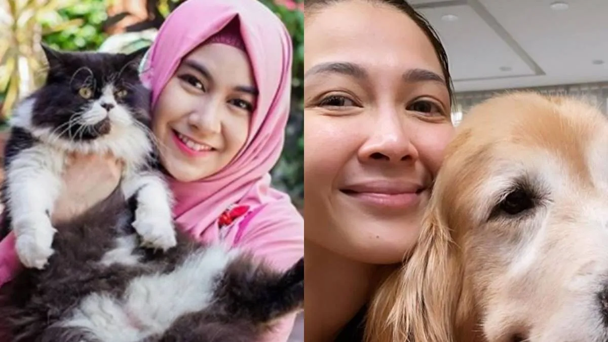 Selebriti dan Cinta Mereka pada Hewan Peliharaan