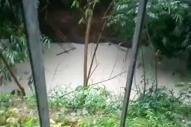 Kali Serpong Berwarna Putih Diduga Tercemar Residu Kebakaran Gudang Pestisida