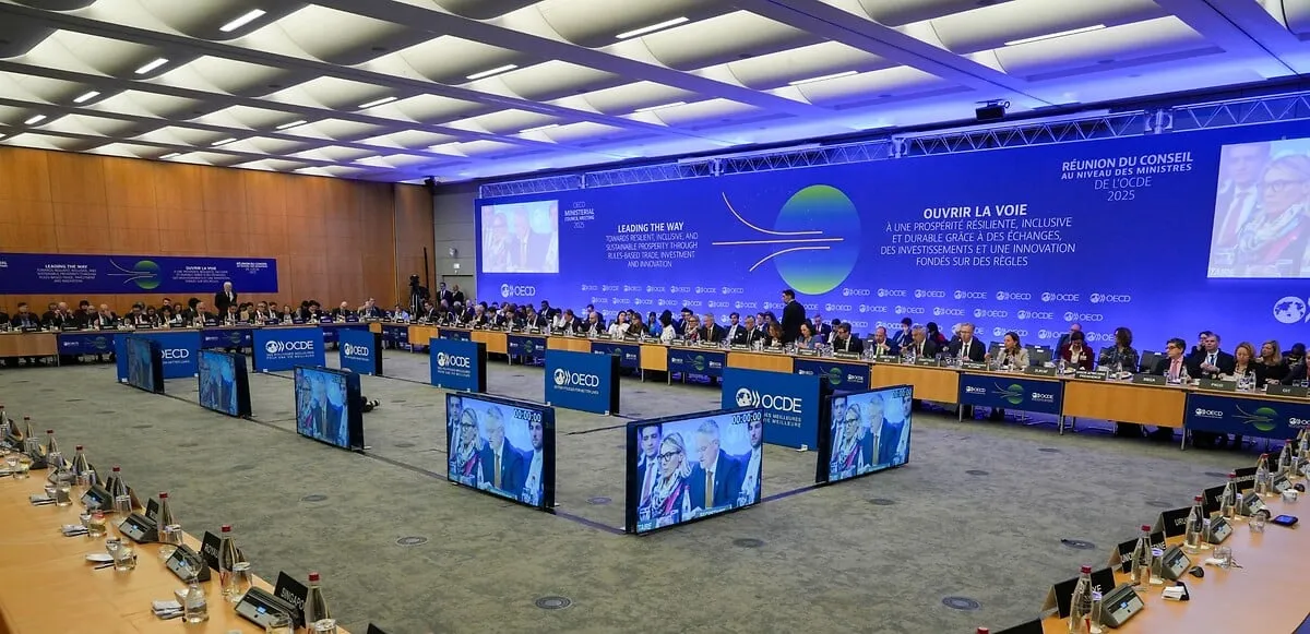 Laporan OECD Ungkap 5 Isu Kunci Pajak dalam Pertemuan G20 di Afrika Selatan