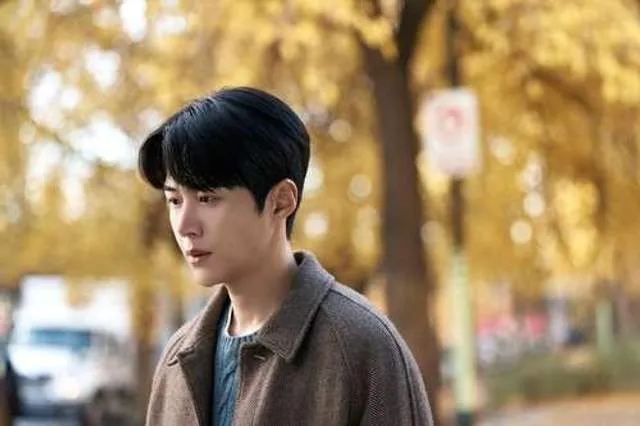 Kim Seon Ho: Aktor Utama Berprestasi dalam Drama Emosional