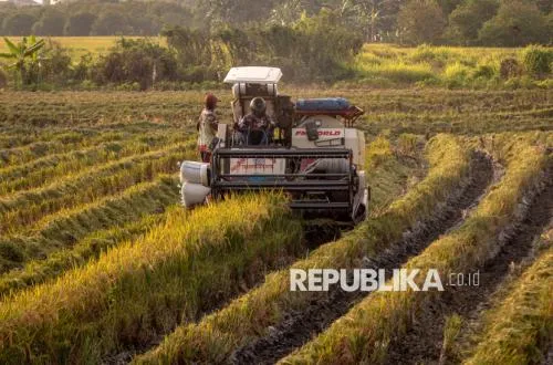 Indonesia Usulkan Ketahanan Pangan dalam Reformasi WTO