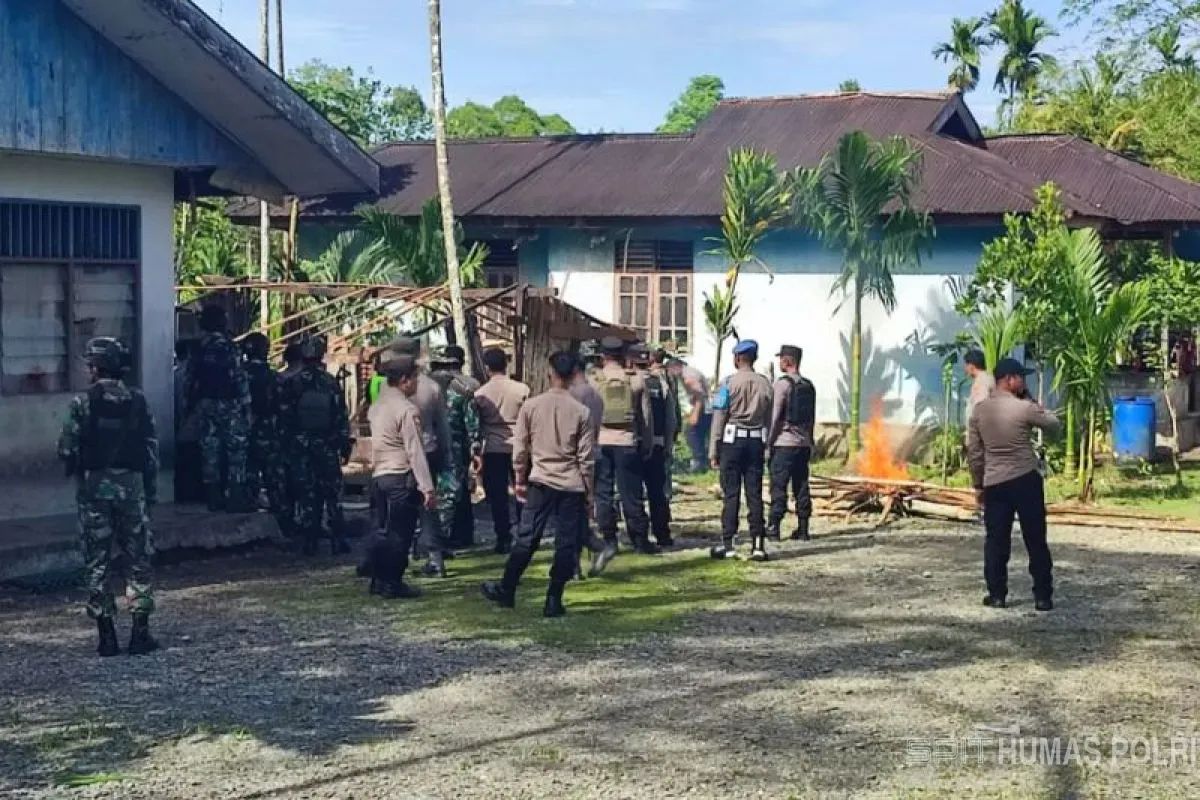 MRP Papua Tengah Desak TNI-Polri Tegakkan Hukum di Kwamki Narama