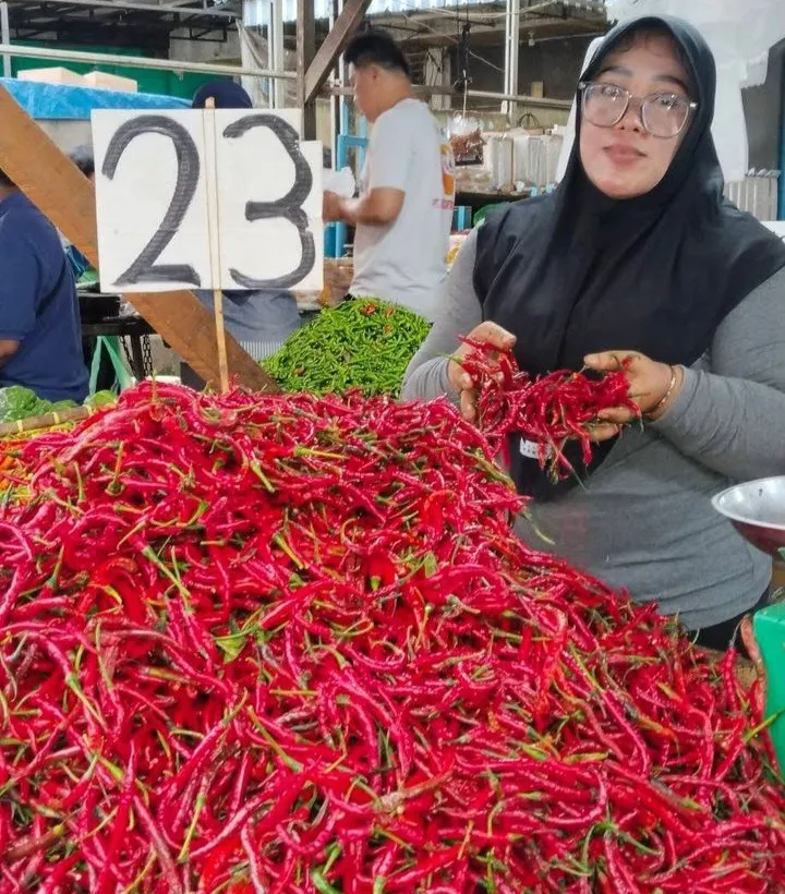 Penurunan Belanja Masyarakat Dorong Harga Cabai Turun Signifikan
