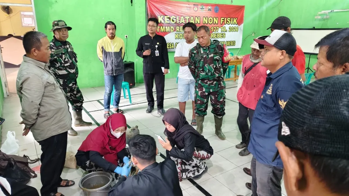 Pelatihan Pembuatan Suplemen UMMB Tingkatkan Produktivitas Ternak di Brebes