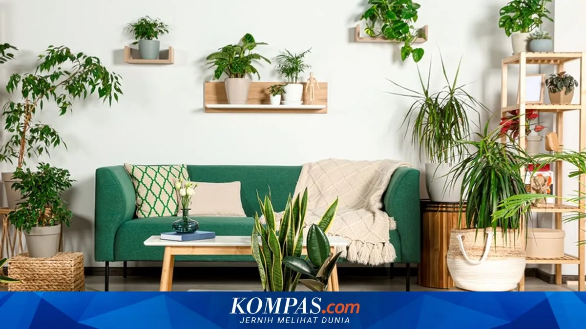 6 Aturan Efektif Menata Tanaman Hias di Ruang Tamu