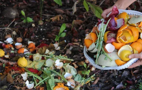 Kurangi Sampah di Bulan Ramadan dengan Diet Bijak