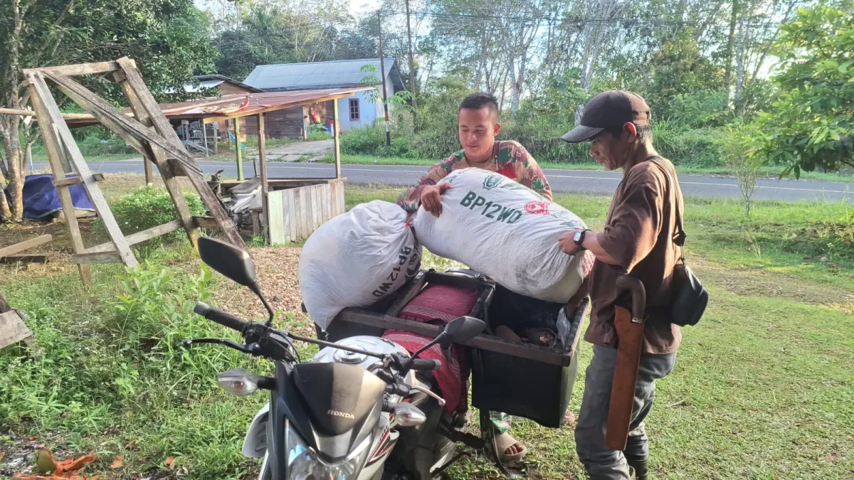Satgas TMMD Ke-127 Bantu Warga Menyadap Karet di Kutai Barat