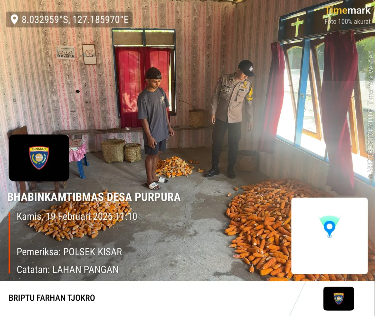Bhabinkamtibmas Desa Purpura Dukung Panen Jagung untuk Ketahanan Pangan