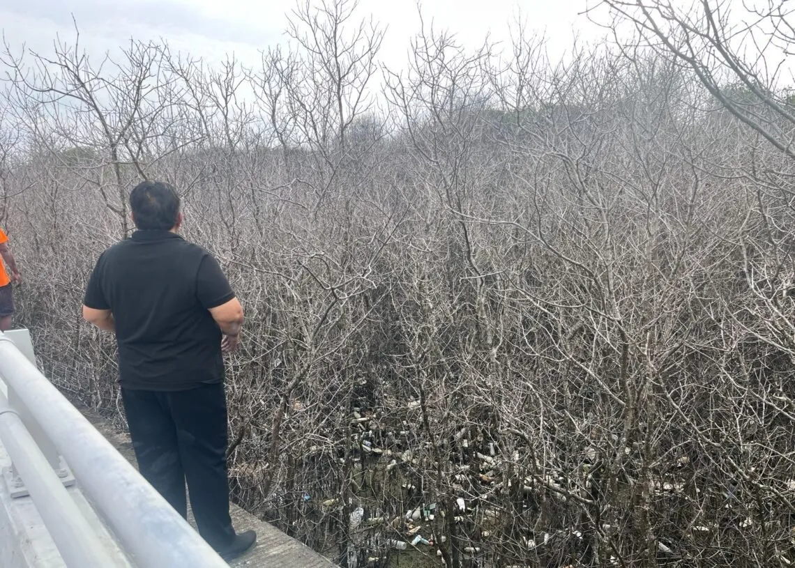 Relawan Desak Penegakan Hukum atas Dugaan Kebocoran Pipa yang Merusak Mangrove di Bali