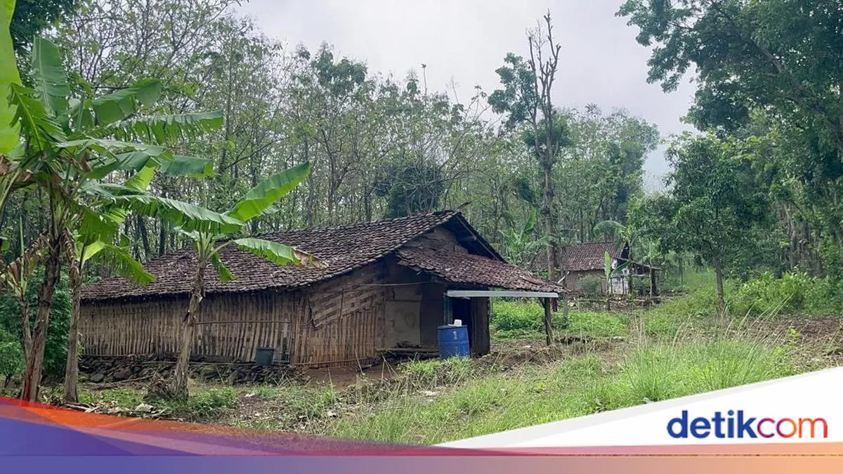 Tiga Keluarga Jalani Hidup Sehari-hari di Hutan Mojokerto-Jombang Selama 10 Tahun