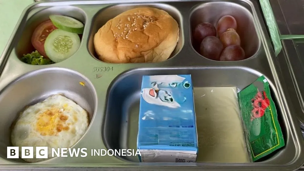 Kritik Terhadap Makanan Bergizi Gratis untuk Ibu Hamil dan Balita: Kualitas Gizi Dipertanyakan