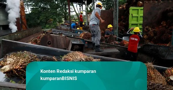 Harga Minyak Mentah Naik, Timah dan Batu Bara Melemah