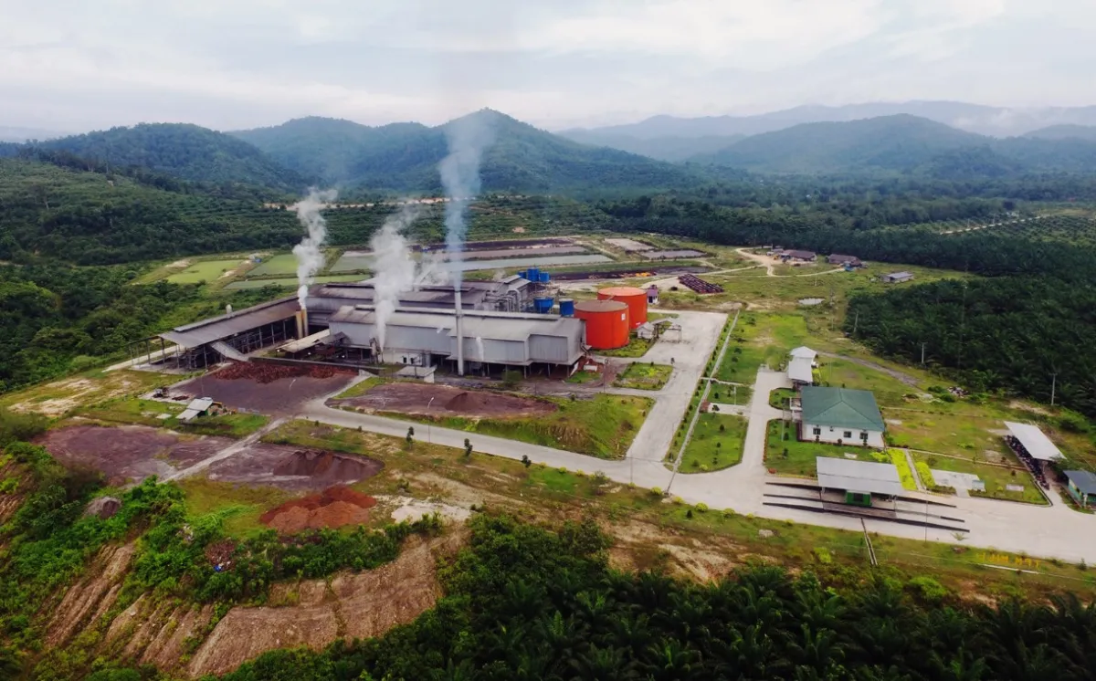 PT Tani Prima Makmur Buka Lowongan Asisten Lab Pabrik Kelapa Sawit di Konawe