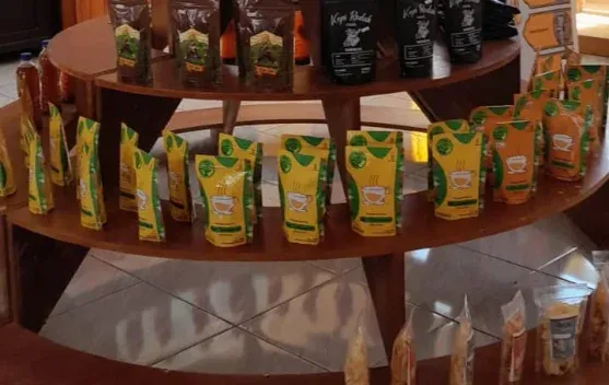 Liwut Sari Promosikan Jamu Herbal untuk Gaya Hidup Sehat