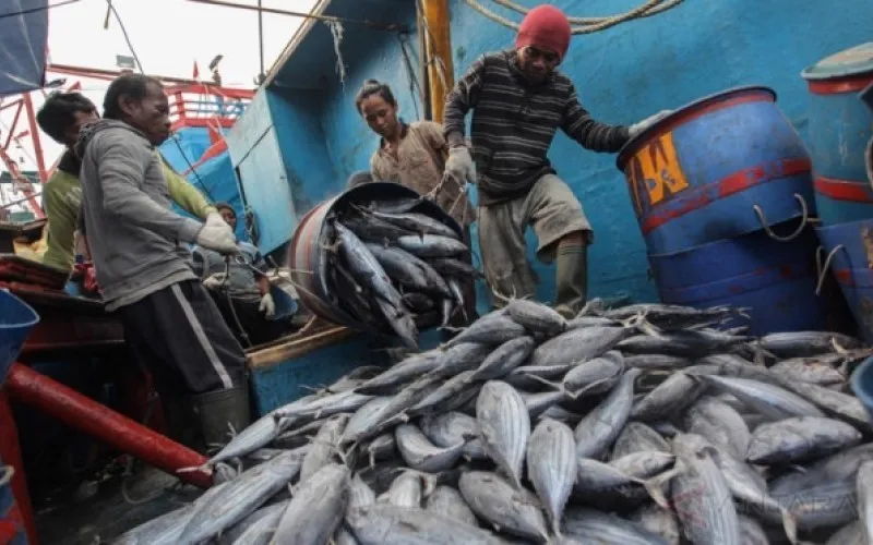 Harga Komoditas Hasil Laut Stabil Menjelang Ramadan 2026