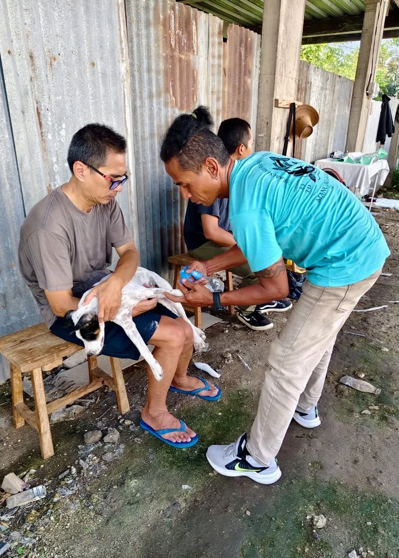 Kisah Johanes: Pejuang Anjing Jalanan di Bali