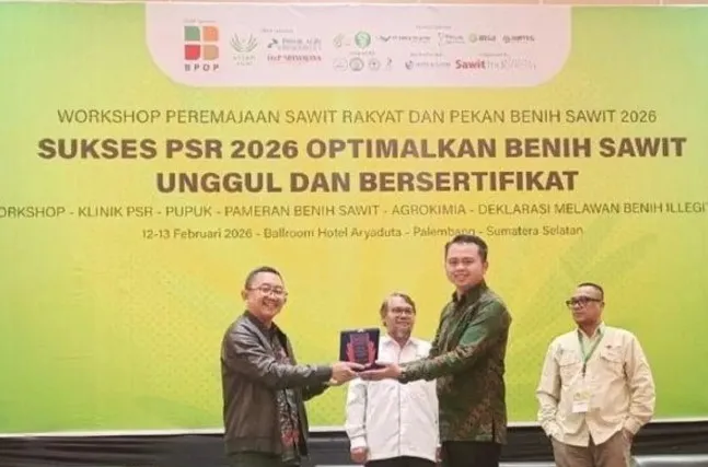 UMKM Dorong Produktivitas Sawit Lewat Program Peremajaan