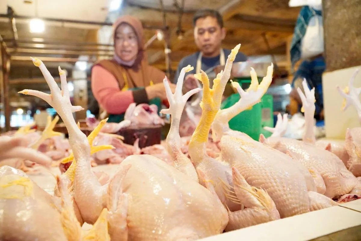 Bapanas Pastikan Stabilitas Harga Daging Ayam dan Cabai di Pasar Cileungsi