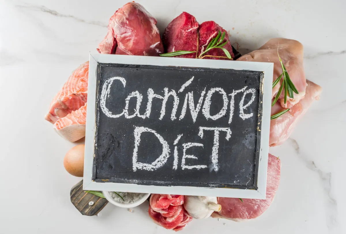 Risiko Kesehatan dalam Diet Karnivora untuk Penurunan Berat Badan