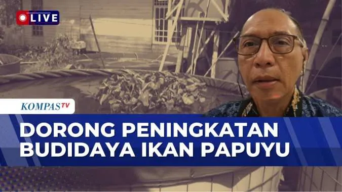 Peningkatan Budidaya Ikan Papuyu di Kabupaten Banjar: Langkah Strategis untuk Diversifikasi Sektor Perikanan