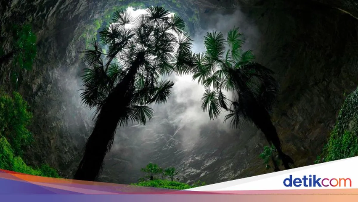Dashiwei Tiankeng: Menyelami Keindahan Lubang Raksasa di Guangxi