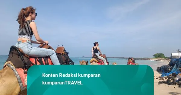 Wisata Unta Menarik Minat di Pantai Kelan, Bali