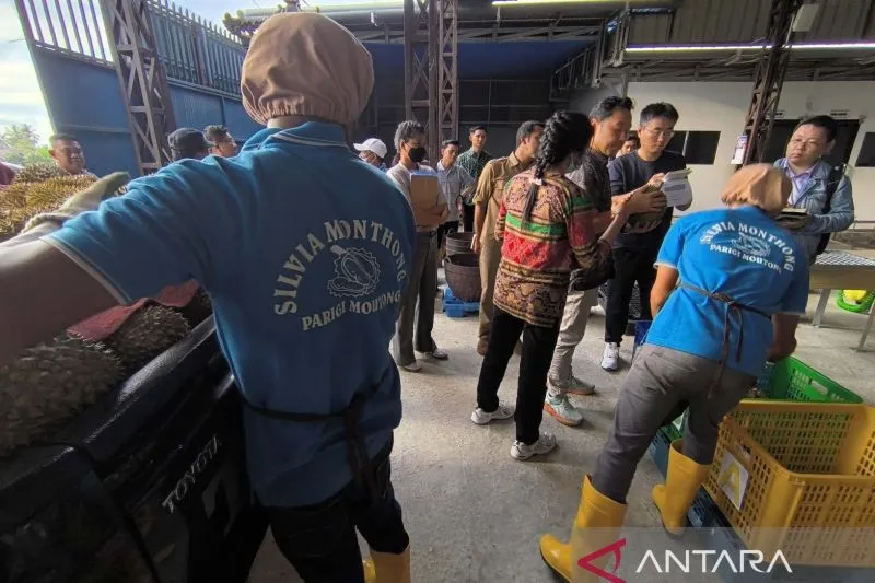 Kadin dan Apdurin Parigi Moutong Siap Ekspor Durian Beku ke Tiongkok