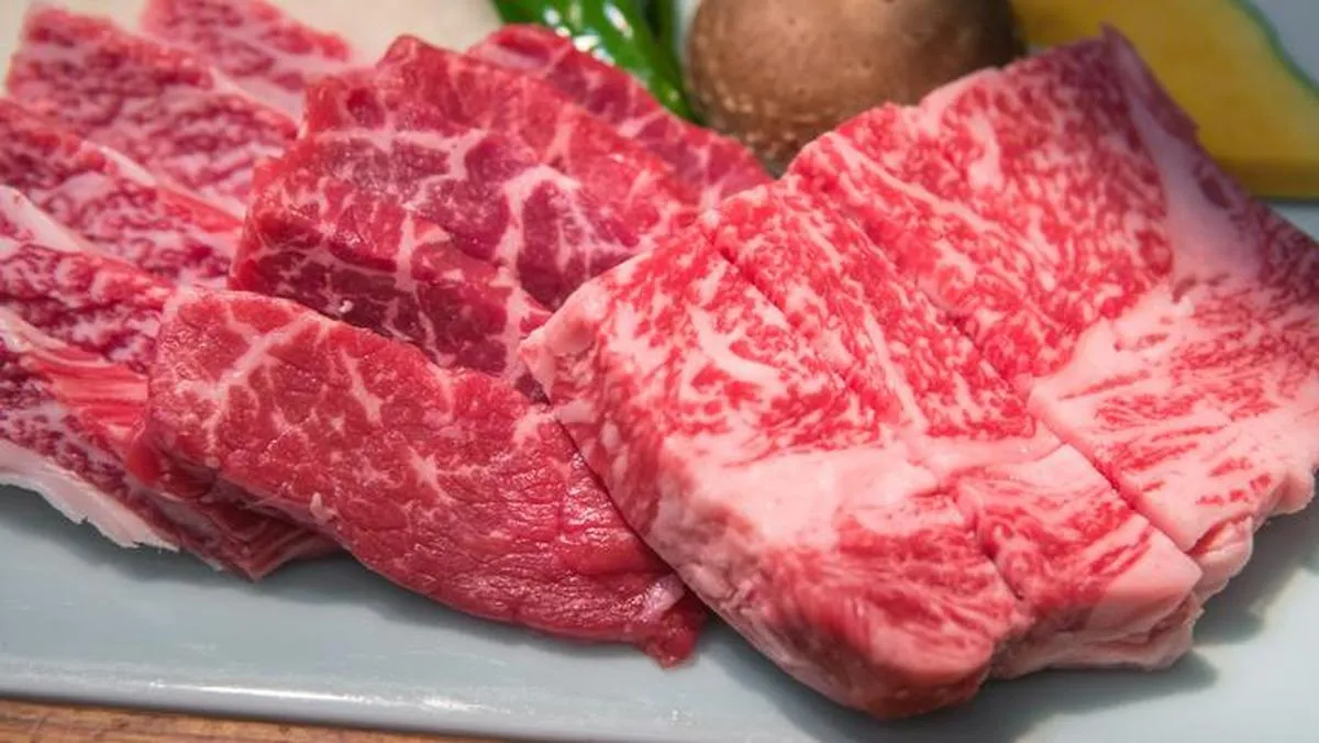 Influencer Alami Kerusakan Ginjal Setelah Ikuti Diet Karnivora