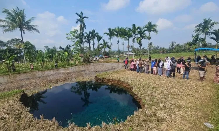 Tanda Awal Kemunculan Sinkhole yang Perlu Diketahui Masyarakat