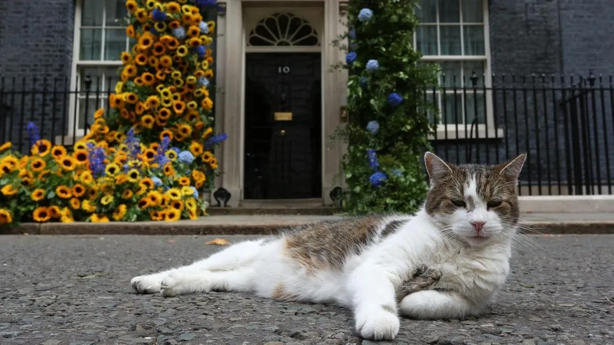 Larry the Cat: 15 Tahun Temani Downing Street