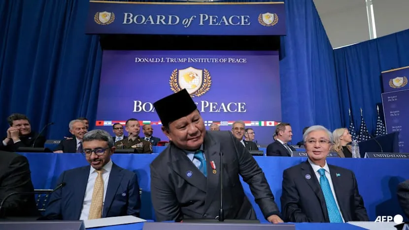 Indonesia Ditunjuk sebagai Wakil Komandan Pasukan Penjaga Perdamaian Gaza
