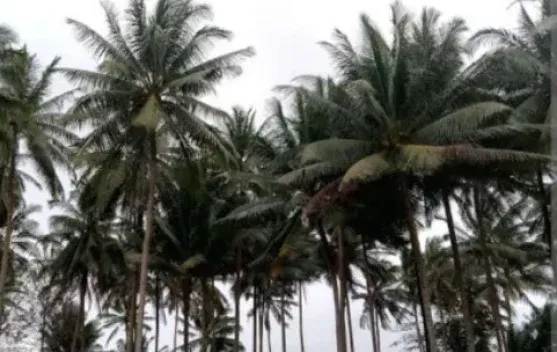 Prioritas Kesejahteraan Masyarakat Natuna Menuju 2027
