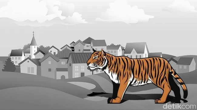 Seorang Pemuda Tewas Diterkam Harimau Saat Mencari Sinyal Ponsel