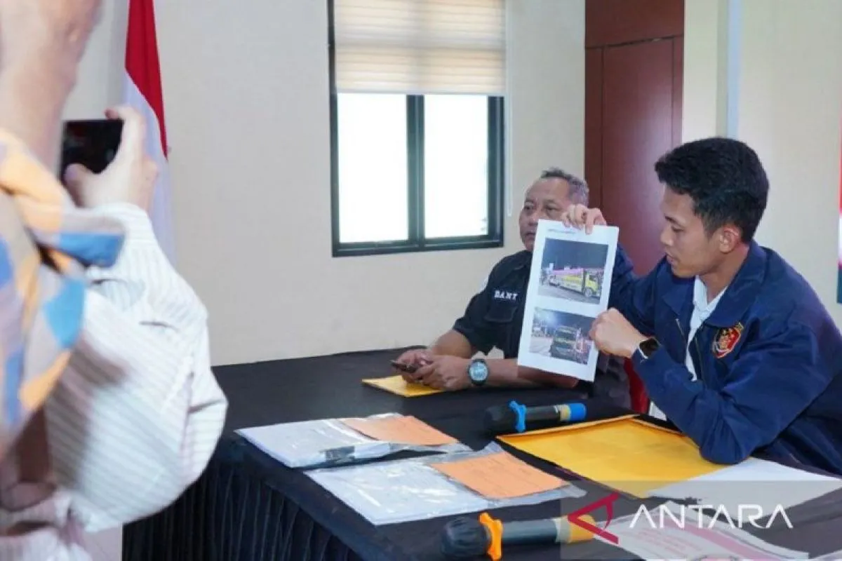 Polisi Selidiki Jaringan Penyelundup Kayu Ilegal di Kaltim
