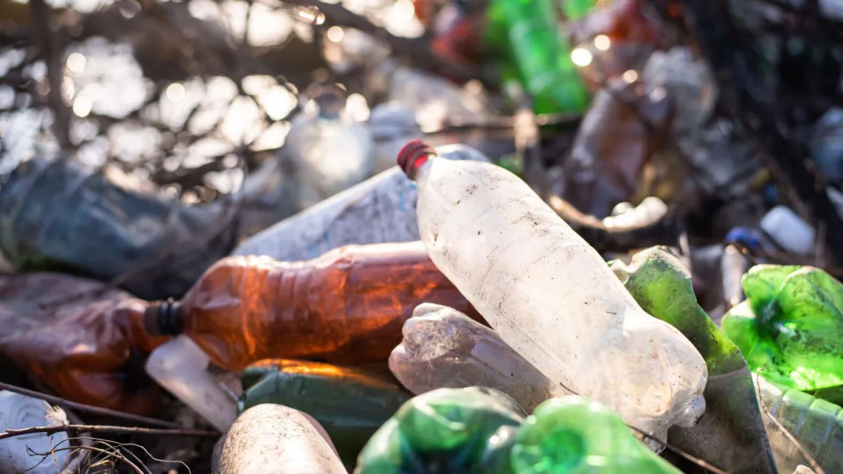 Refleksi Aksi Nyata dalam Mengatasi Krisis Sampah di Hari Sampah Nasional