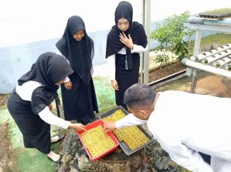 Lapas Kotabaru Tingkatkan Keterampilan Melalui Perawatan Benih Seledri