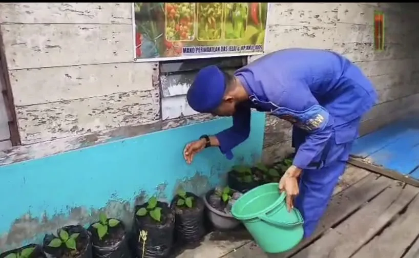 Ditpolairud Kalteng Tingkatkan Ketahanan Pangan Melalui Perawatan Tanaman Cabai
