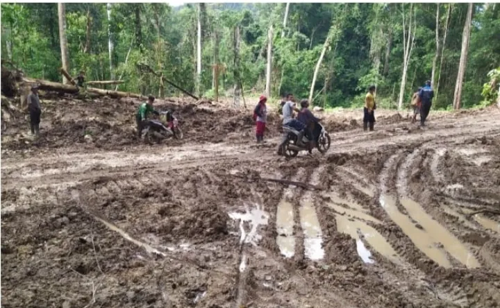 Konflik PT Wana Bakti: Masyarakat Desak Penyelesaian Kompensasi dan Penegakan Hukum
