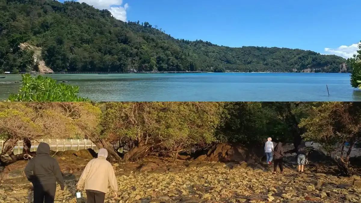 Delegasi Internasional Siap Menjelajahi Desa Wisata Namu Konawe Selatan